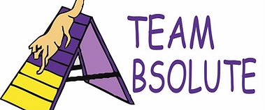 Team Absolute Logo_edited.png
