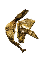 sipp_Breakdown3.png