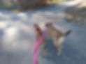 iHDq-conv-attach-58490493.jpeg