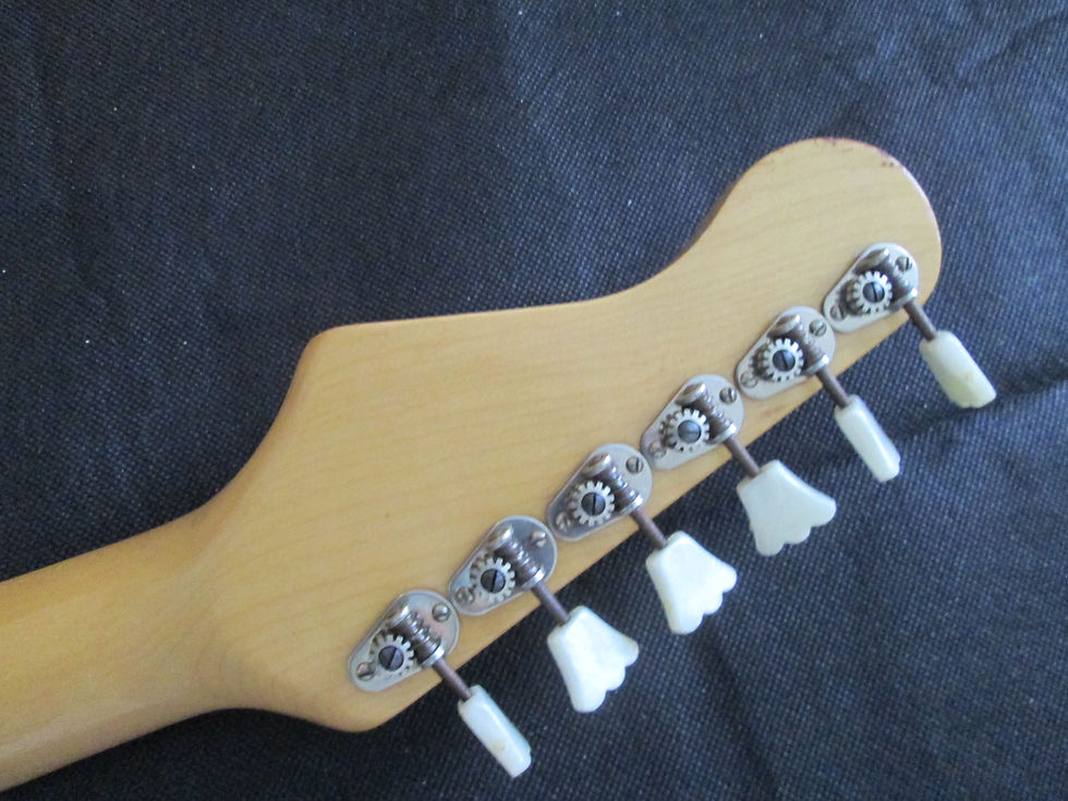 Thumbnail: Hofner 173