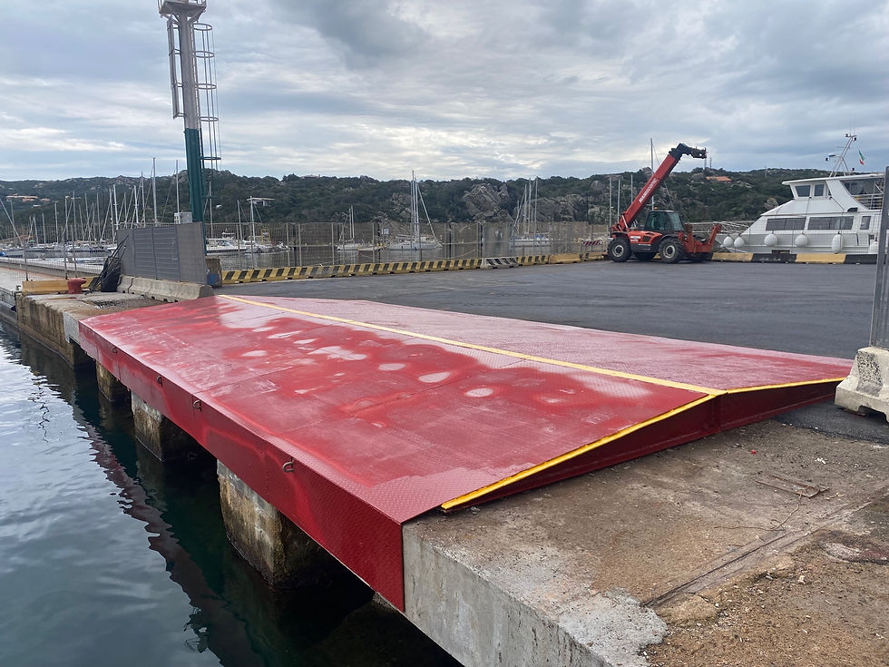 Nuova lamiera di protezione scassa