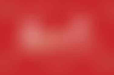 おせち・オードブル販売いたします！