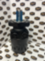 10147632 Hydraulic Motor, Schwing