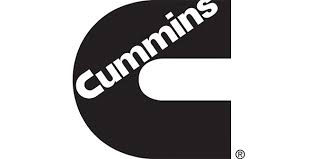 3638327, Fuel Rail Oring, Cummins