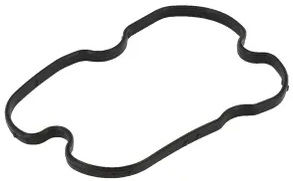 504173590 Head cover gasker, CNH