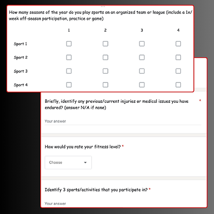 Questionnaire 1.png