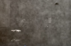 _DSC5249