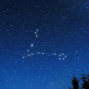 Pisces Musicians for Pisces Fans