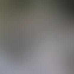 御室藝術祭2021 第5ステージ＜日本画＞