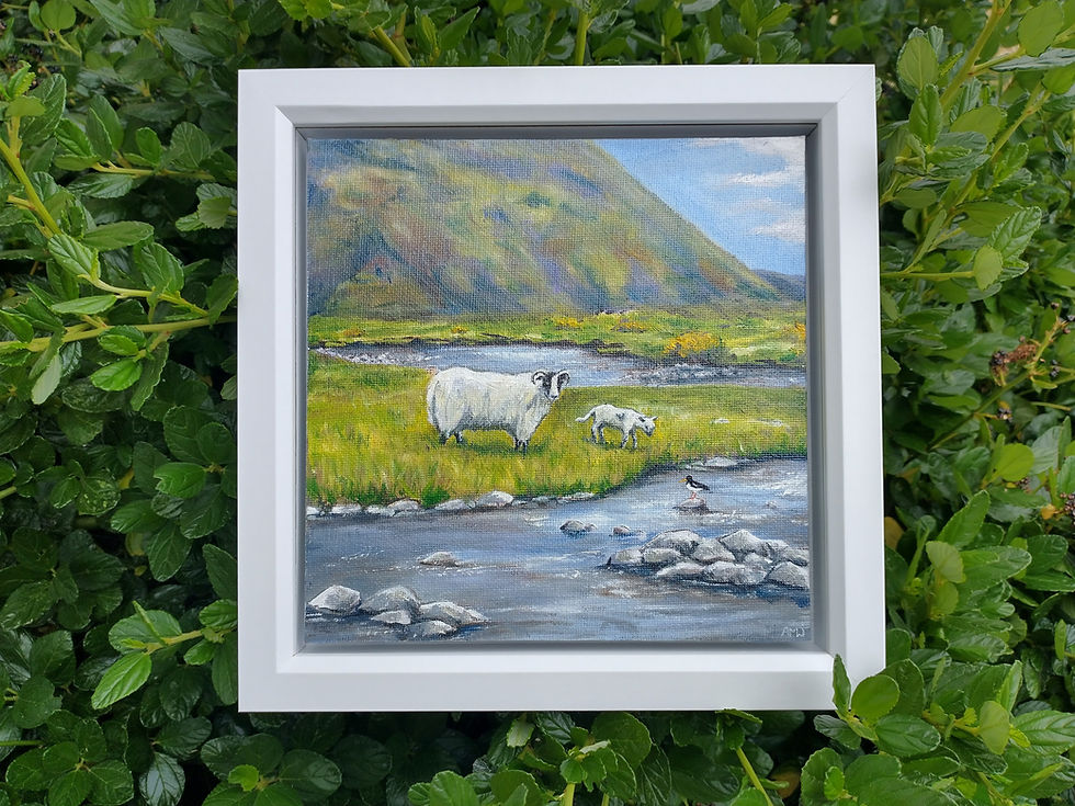 The Lamb and the Oyster Catcher