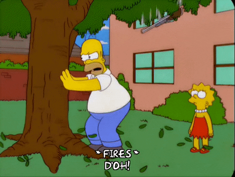 WIX29.gif