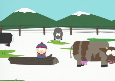 wix#2.gif