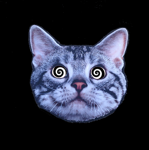 WIX#5.gif