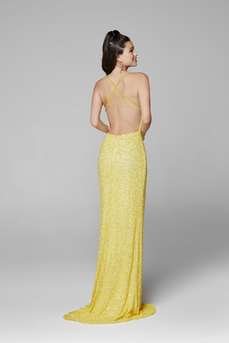 3291-Yellow-2-scaled.png