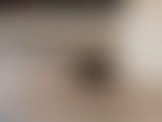 Souris dans un logement, miettes par terre