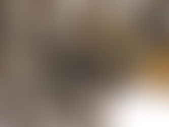 Guêpe sur un nid de guêpes en papier gris — identification des insectes nuisibles en été