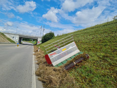 Naturnaher Böschungsunterhalt
