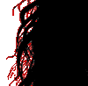 FZ-Moving-Eyeballs_02.gif