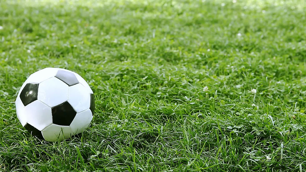 soccer ball in grass.jpg
