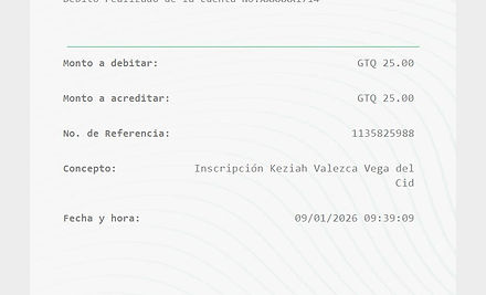 Ejemplo Boleta.jpg