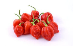 Piment Fort