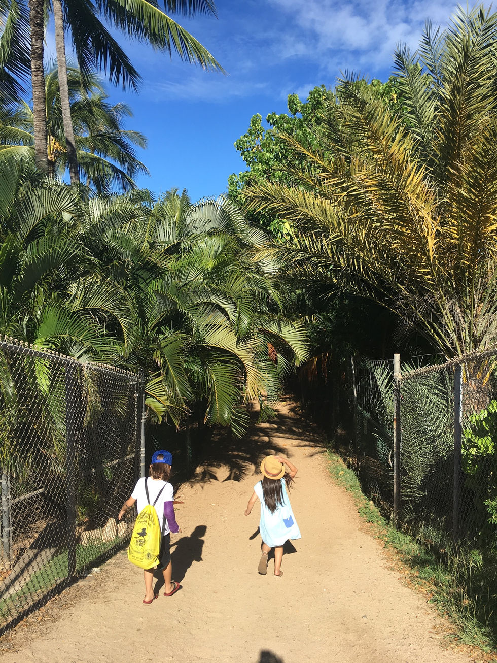 ParadiseなBeachに行って来ました！