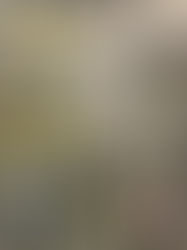 ハワイ限定 ファイテン！