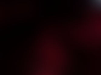 Cuatro lagartos para salir de la cama