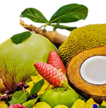 LOGO FRUIT SPICE.jpg