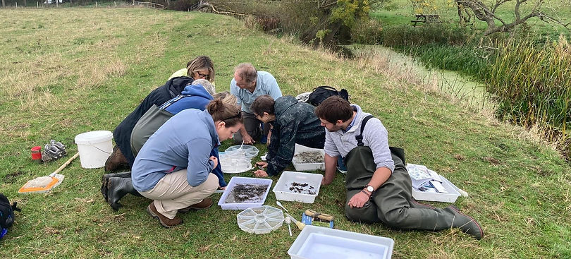 Water Quality pic.JPG