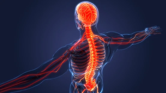 ofqual regulated Anatomy and physiology online course