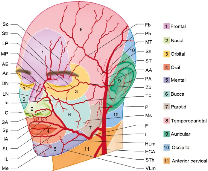 ofqual regulated Anatomy and physiology online course