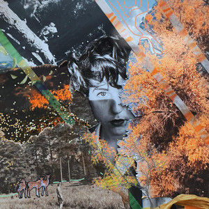                      Review: "Trees" - Laura Holliday