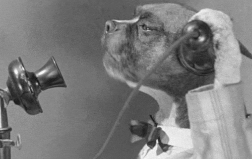 PERRO.gif