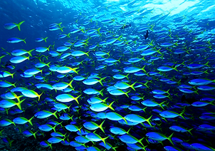 France 4 | Red Dragonfly Travel.jpg