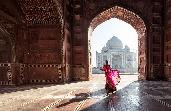 India Red Dragonfly Travel.jpeg