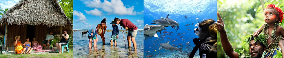 Red Dragonfly Travel - Pacific Island Holidays