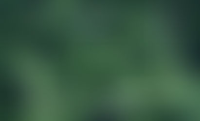 POÑER MEDIDA AO QUE FACEMOS.