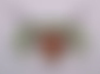 PROXECTO DE EMPRENDEMENTO PARA A COMUNIDADE DO ARAÑO. INTRODUCIÓN DA RAZA CACHENA