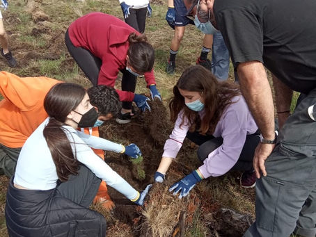 PLANTACIÓN O DÍA DA TERRA
