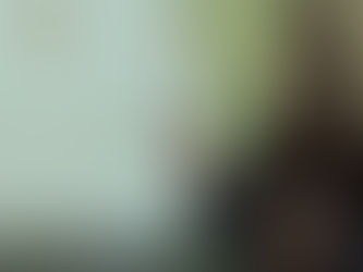 PROXECTO DE EMPRENDEMENTO. A REVERSIÓN DA PEGADA DE CARBONO