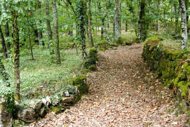 VIAXANDO NA NOSA MEMORIA.