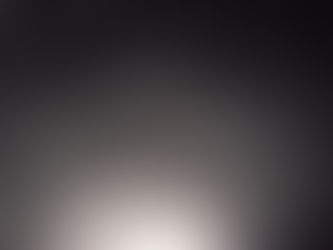 SENDO OS QUE FOMOS-2