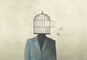 EXPOSICIÓN: AVES DE GALICIA