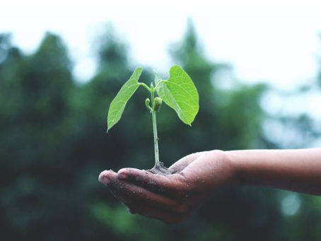 TOCANDO TERRA NO TEMPO DO SMARTPHONE!!!
