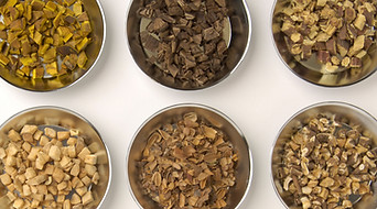 Traditional Chinese Medicine