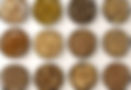 Herbal ingredients in bowls