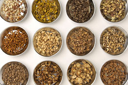Herbal ingredients in bowls