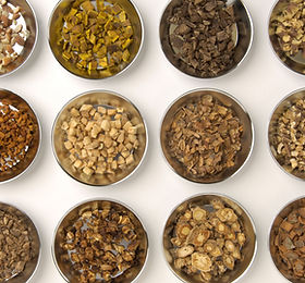 Traditional Chinese Medicine