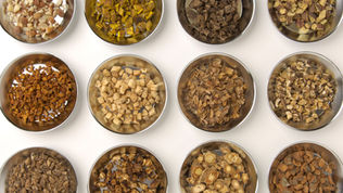Monthly Personalized Herbal Prescription Service starting February 1, 2019!